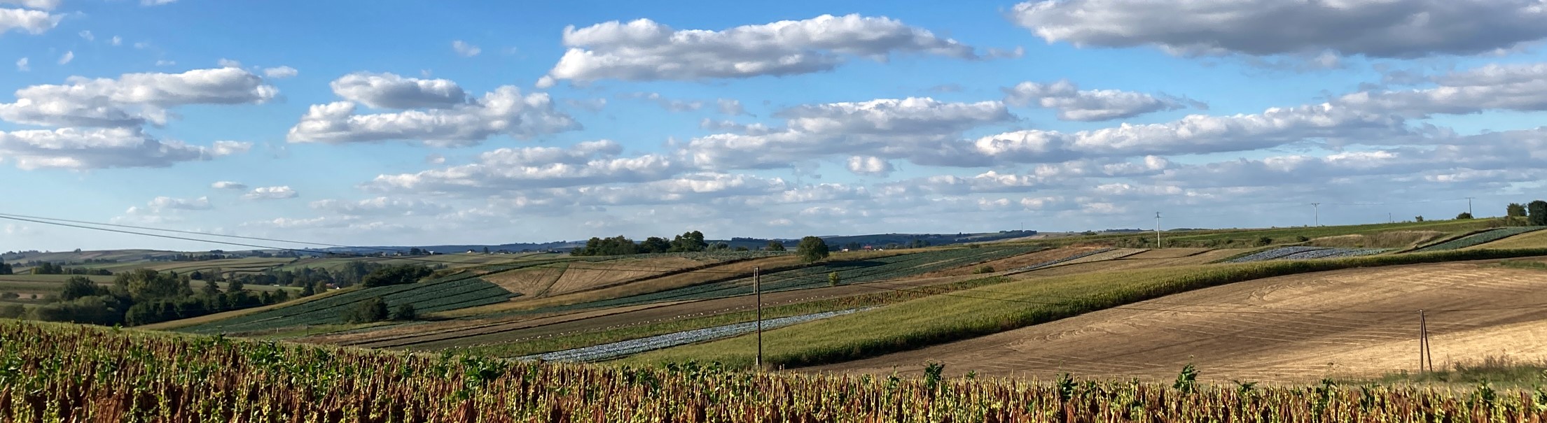 Poland Landscape